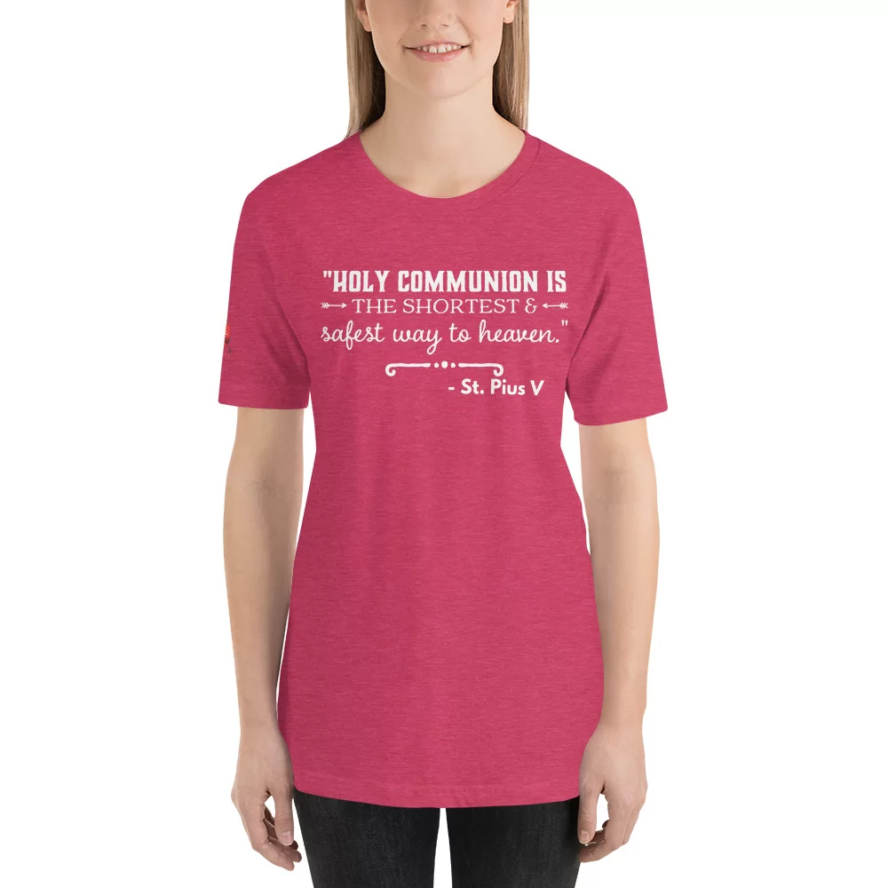 Saint Pius V Catholic T Shirt - Image 19