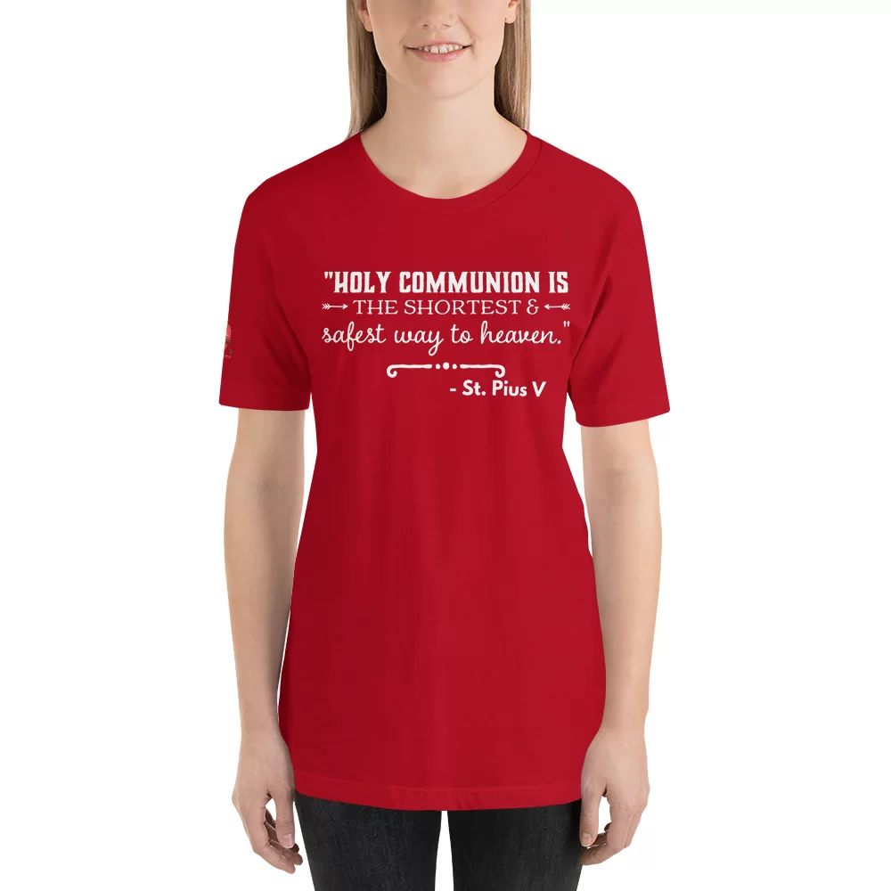 Saint Pius V Catholic T Shirt - Image 5